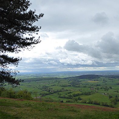 Le Mont Dardon