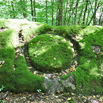 Pierre Guénachère et fontaine du Saint - SAINT-EMILAND