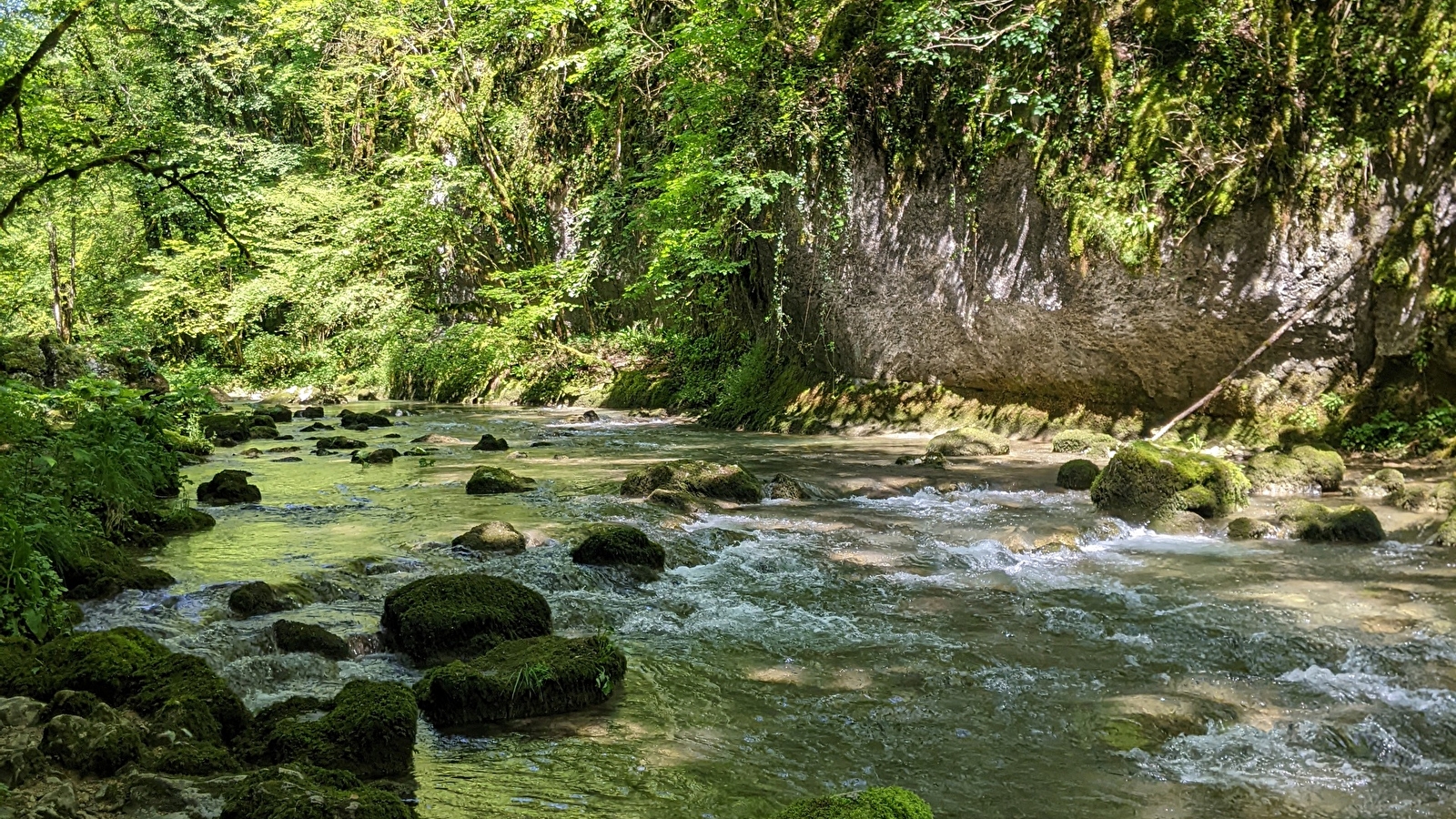 Sentier Courbet 6 : Le Ravin du Puits Noir, l'atelier en nature