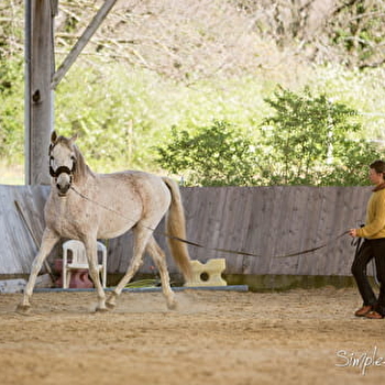 Et si nous écoutions les chevaux : stage équestre 2 jours - PAGNOZ
