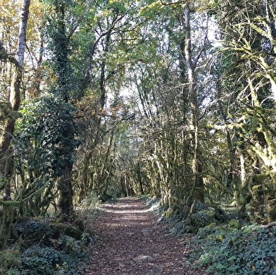 Mont Nivigne et Grotte à l'Ours