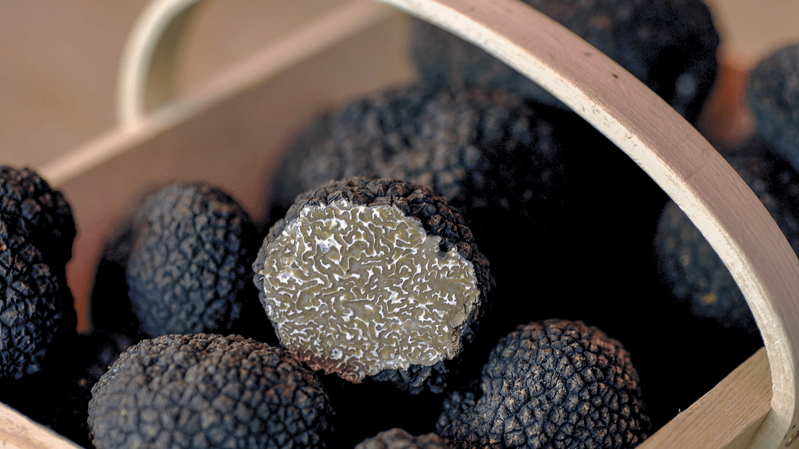 Séjour Oenologique sur la Route de la Truffe