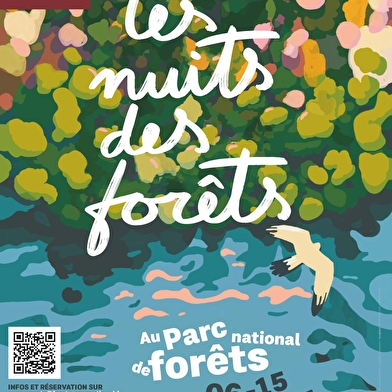 Festival Nuits des Forêts 2025