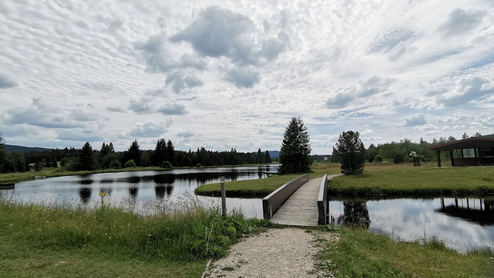 Les Belles Seignes - n°51 A