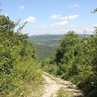 Le Mont Nivigne