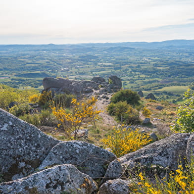 A la découverte de la nature d'Uchon