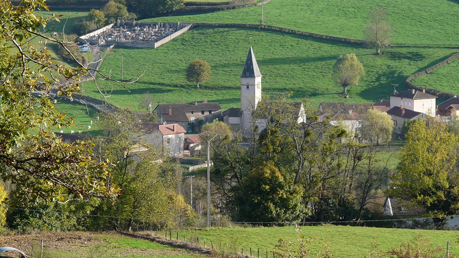 Bois des Combes