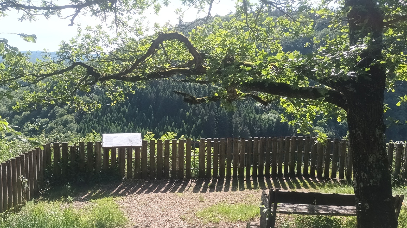 Belvédères de Lizine