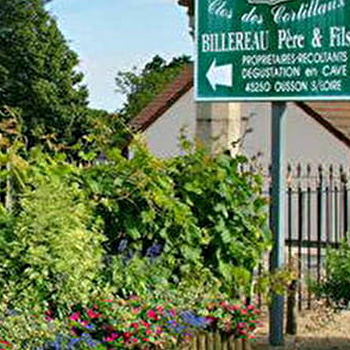 Clos des Cortillaux - OUSSON-SUR-LOIRE