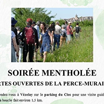 Soirée mentholée - SAINT-PERE