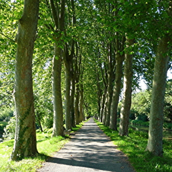 La Voie Bleue, Moselle-Saône à vélo® - PONT-DE-VAUX