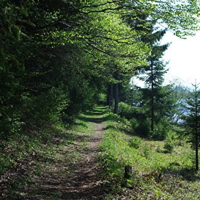 Tour du Lac de Malpas