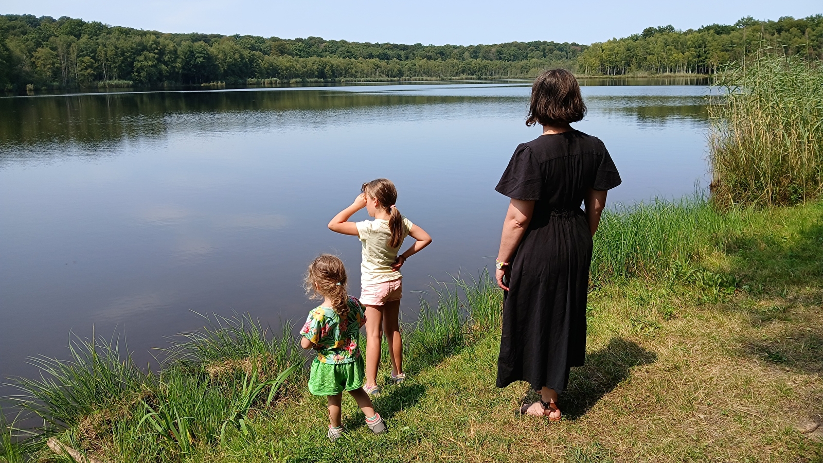 Site de pique nique à l'Etang des Monts Reveaux 
