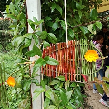 Escapades nature : atelier vannerie, tresser l’osier brut et créer de jolis objets déco - CUISERY