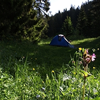 Aire naturelle de camping - La Dalue - BELLECOMBE
