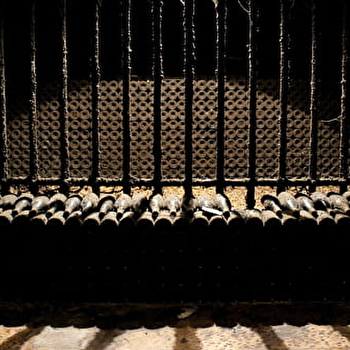 Beaune Underground : Entre divin et vin - BEAUNE