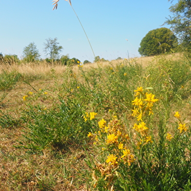 Sentier pédagogique de Champfleurey