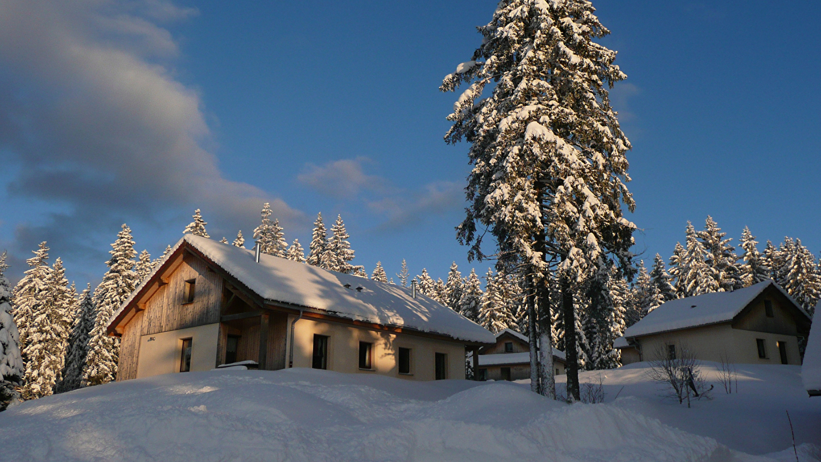 Chalet -Les Hauts Bois - l'Églantine