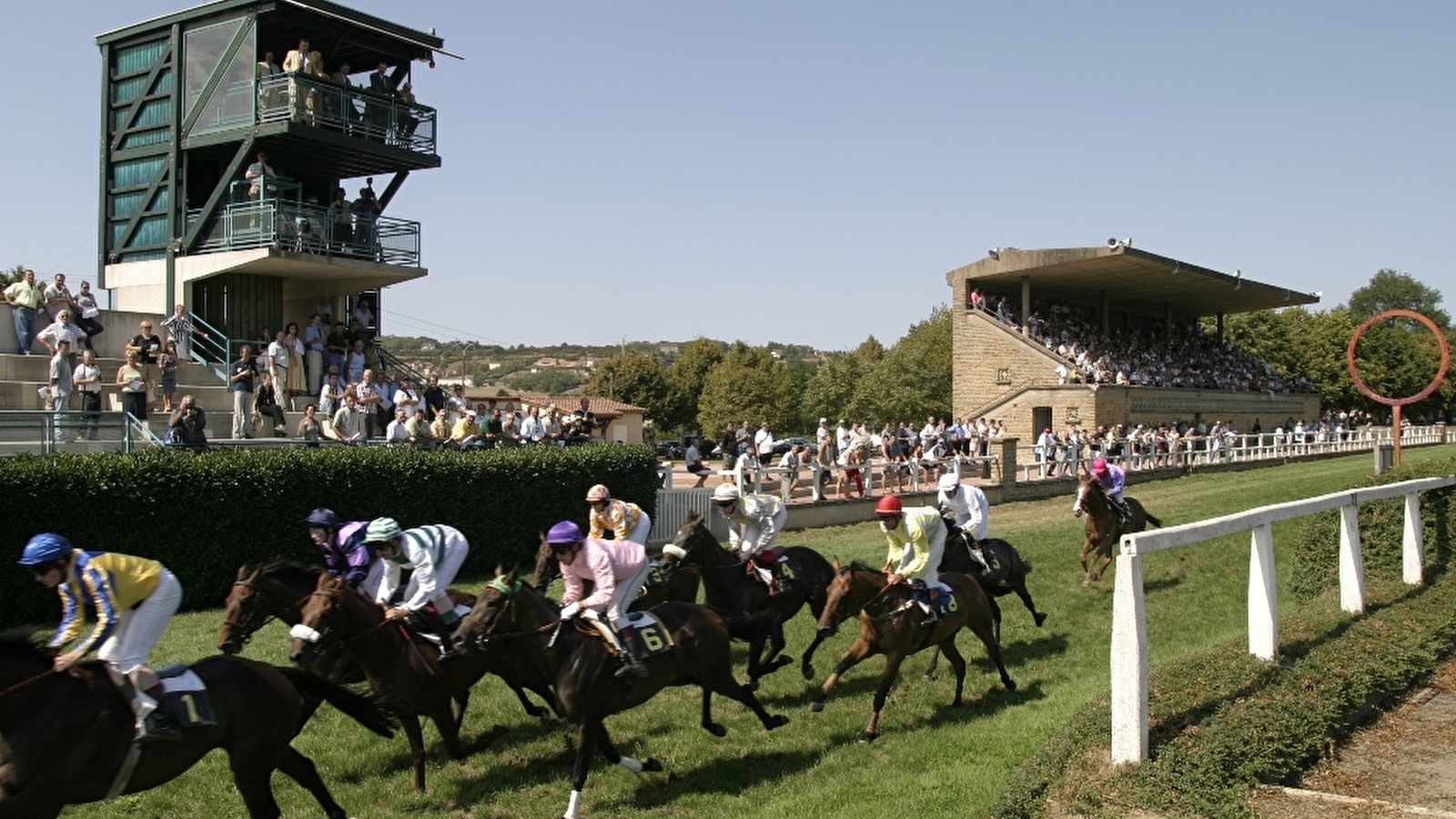 Courses hippiques