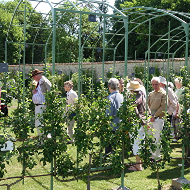 Les Vergers-potagers de Montigny