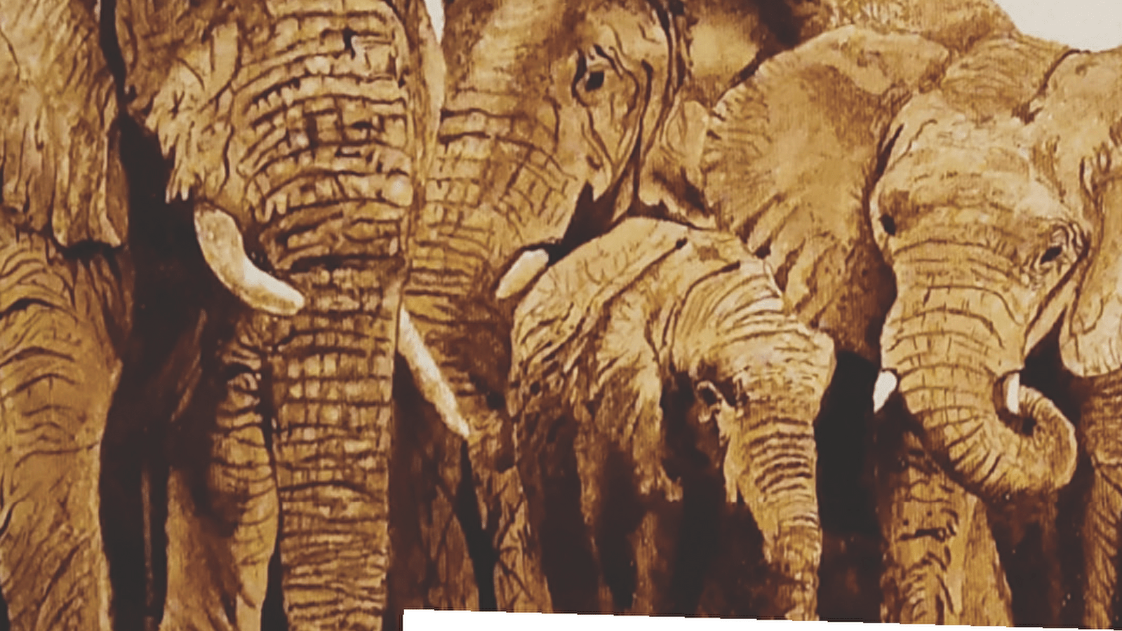Exposition Art et café : Gérard Romero