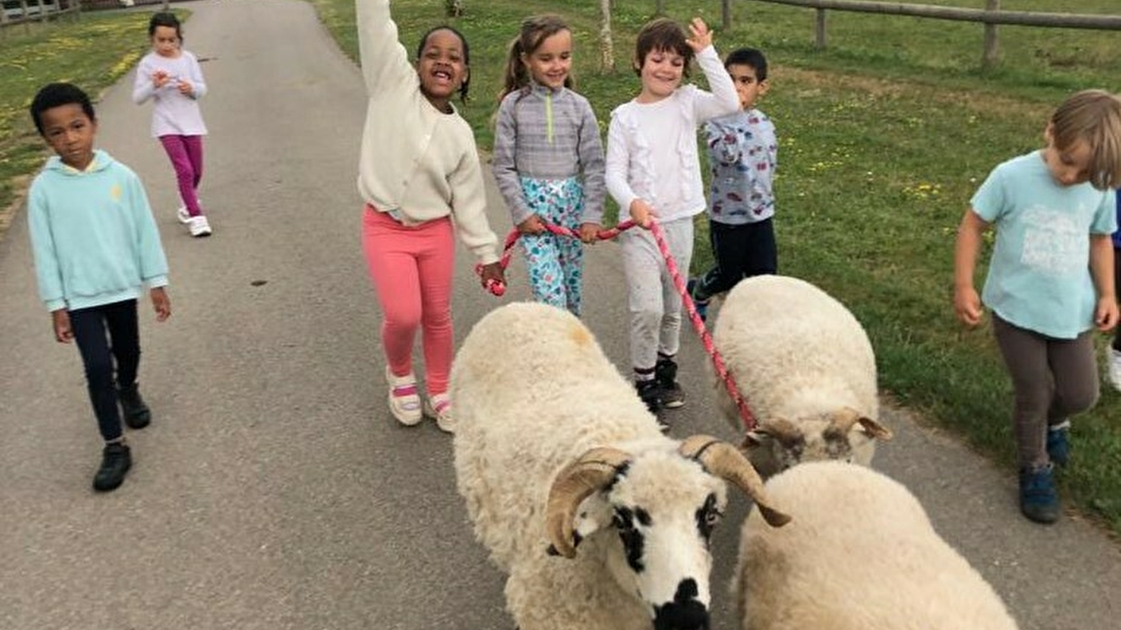 Classe Pleine Nature en Bourgogne 