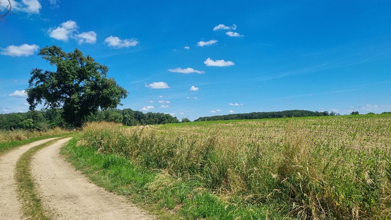 Circuit Gravel n°13 (rouge) - Les chemins de St Jean