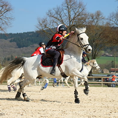 Concours Hippique - Pony games international