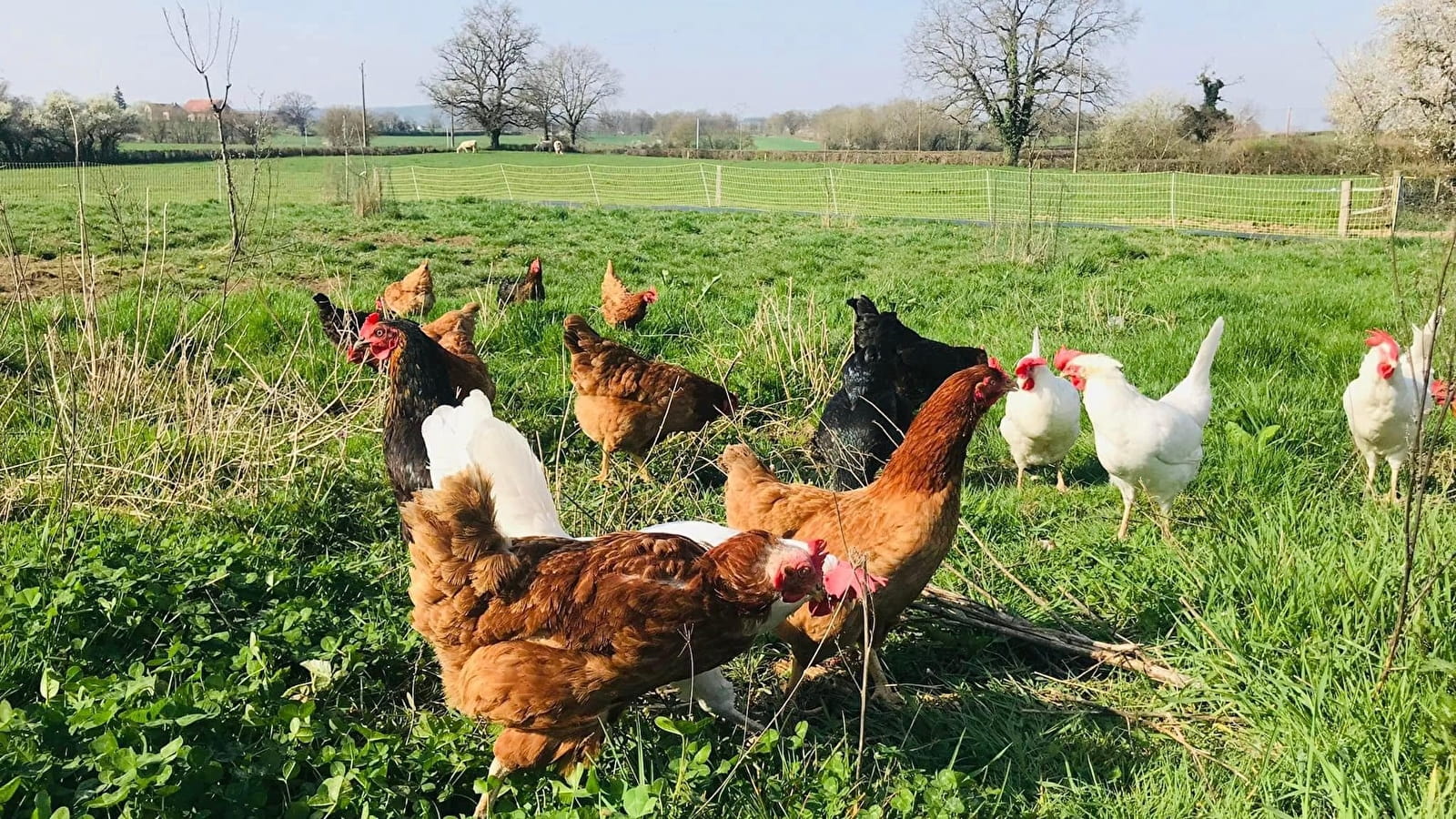 La ferme de Novelle