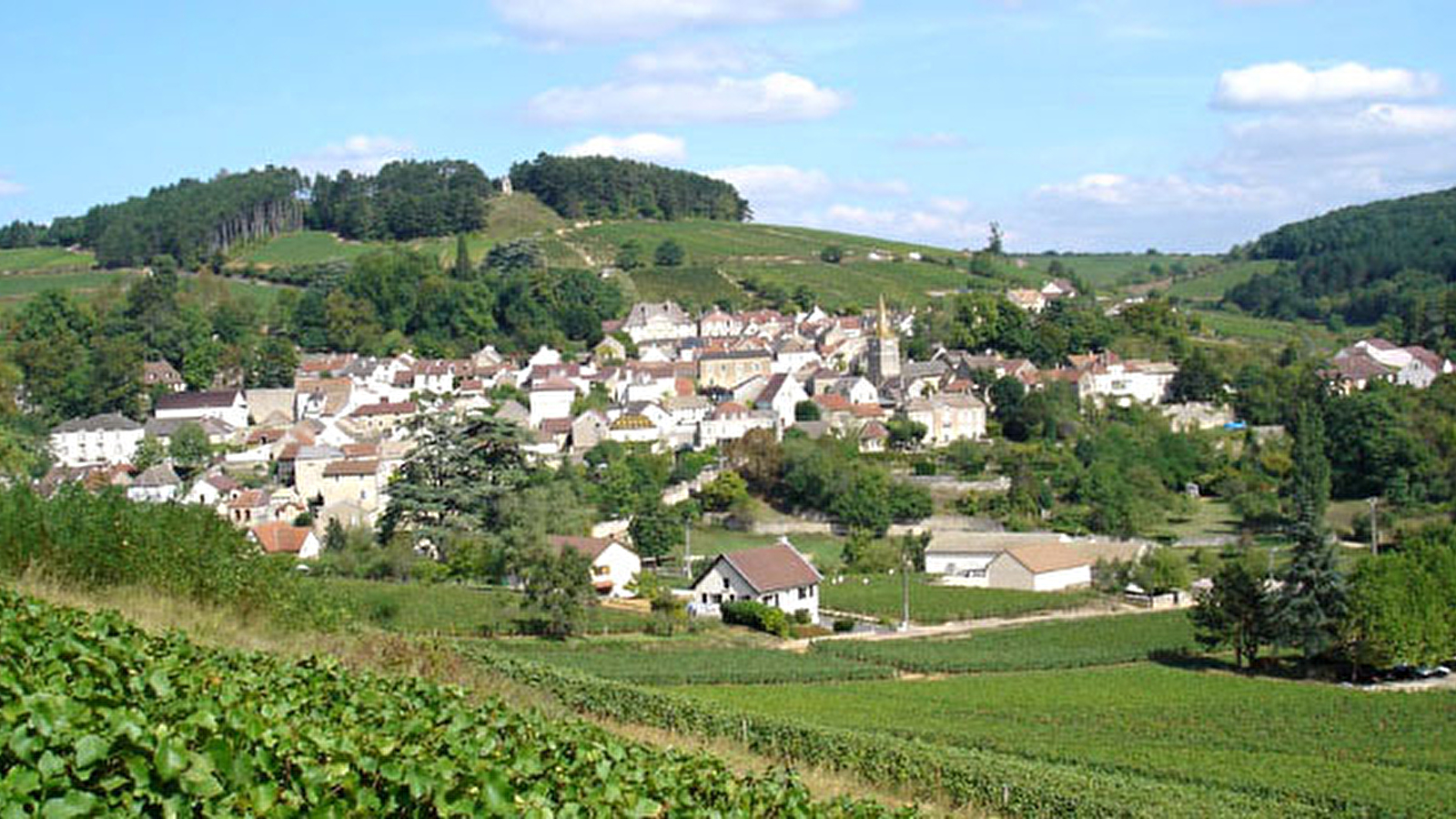 Rollin Père et Fils