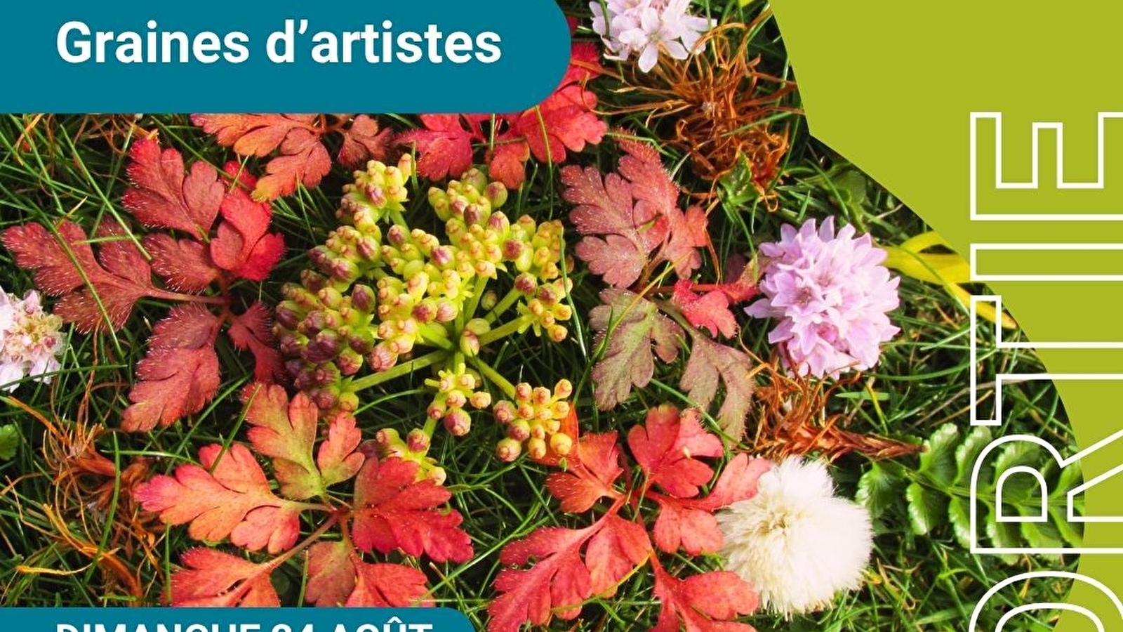 Sortie 'Graines d'artistes'