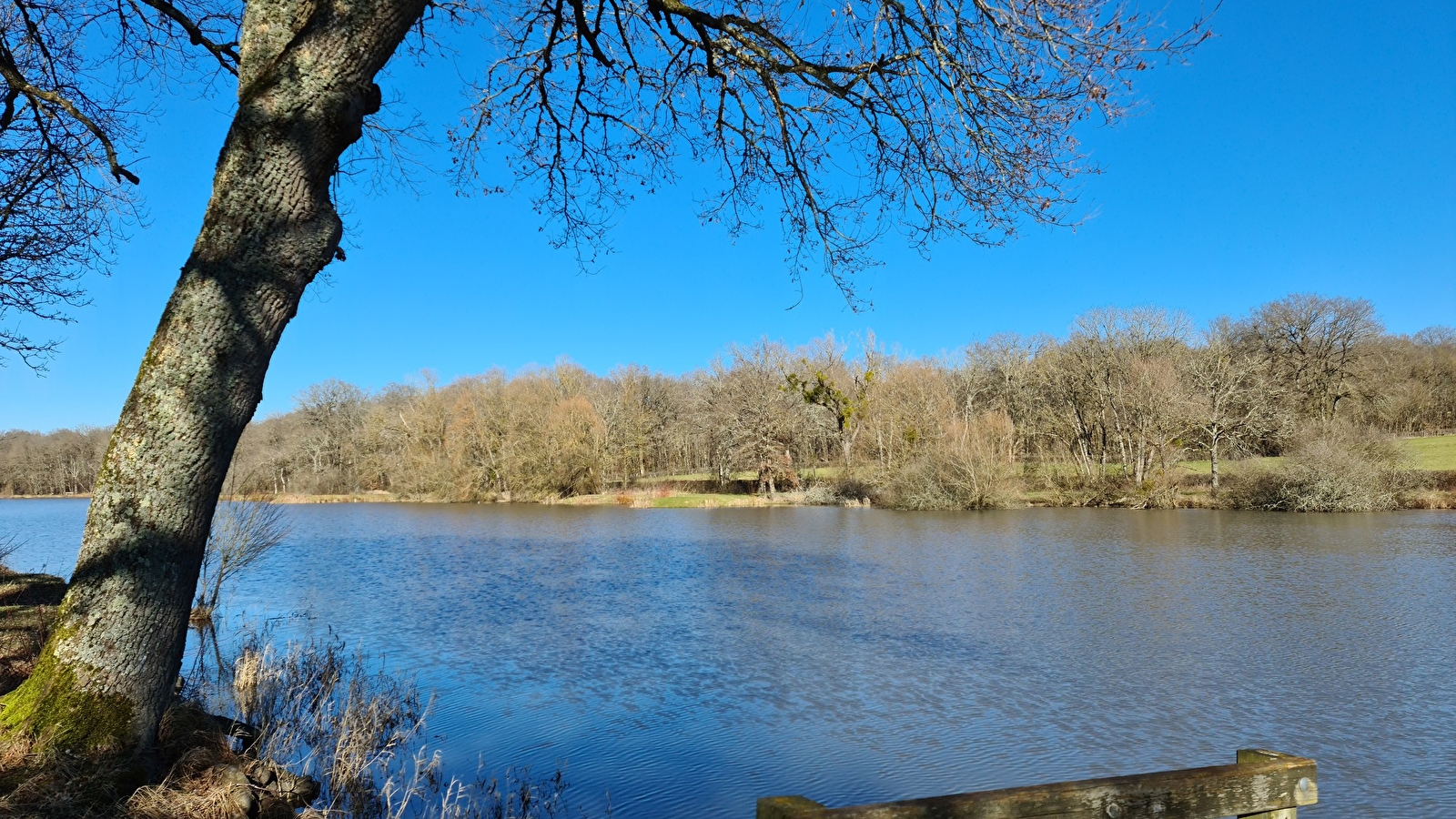 Etang de la Perchette