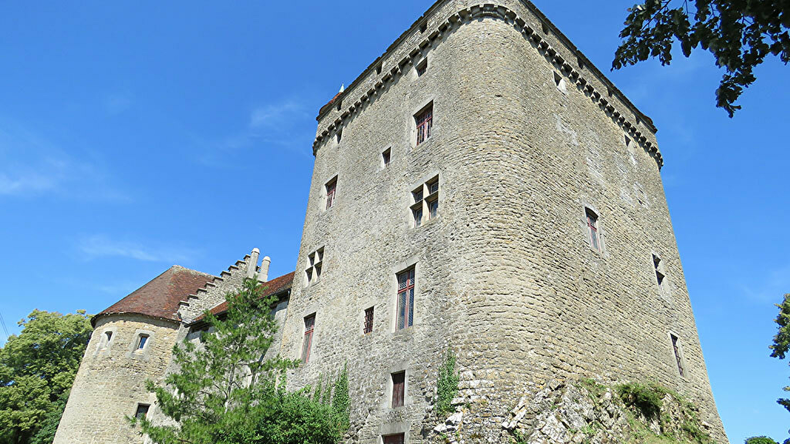 Château du Pin