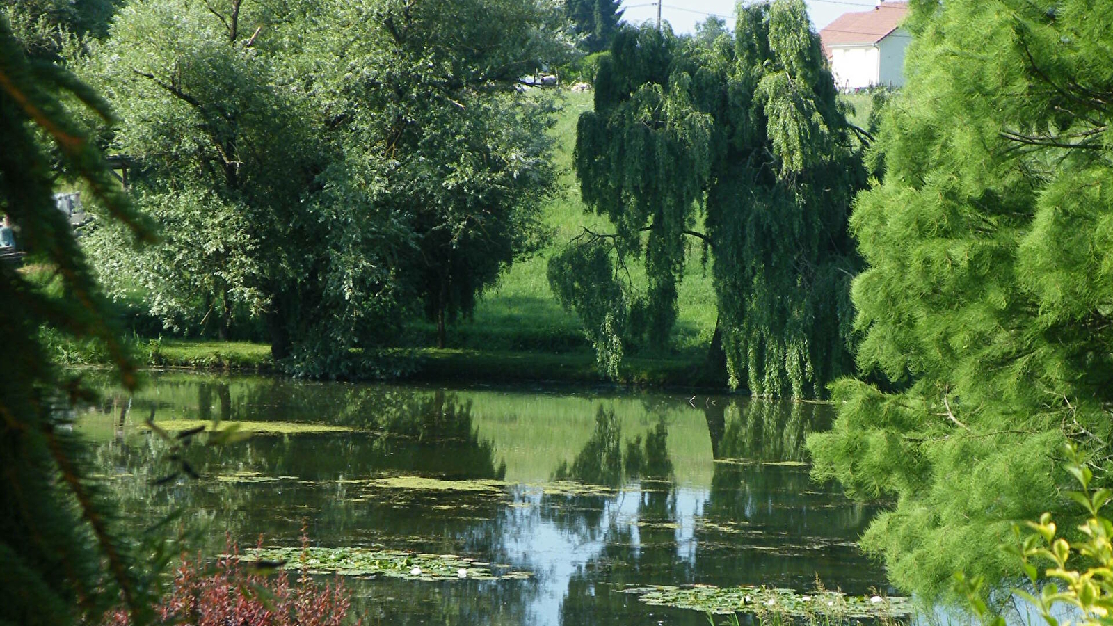 Le parc de l'etang