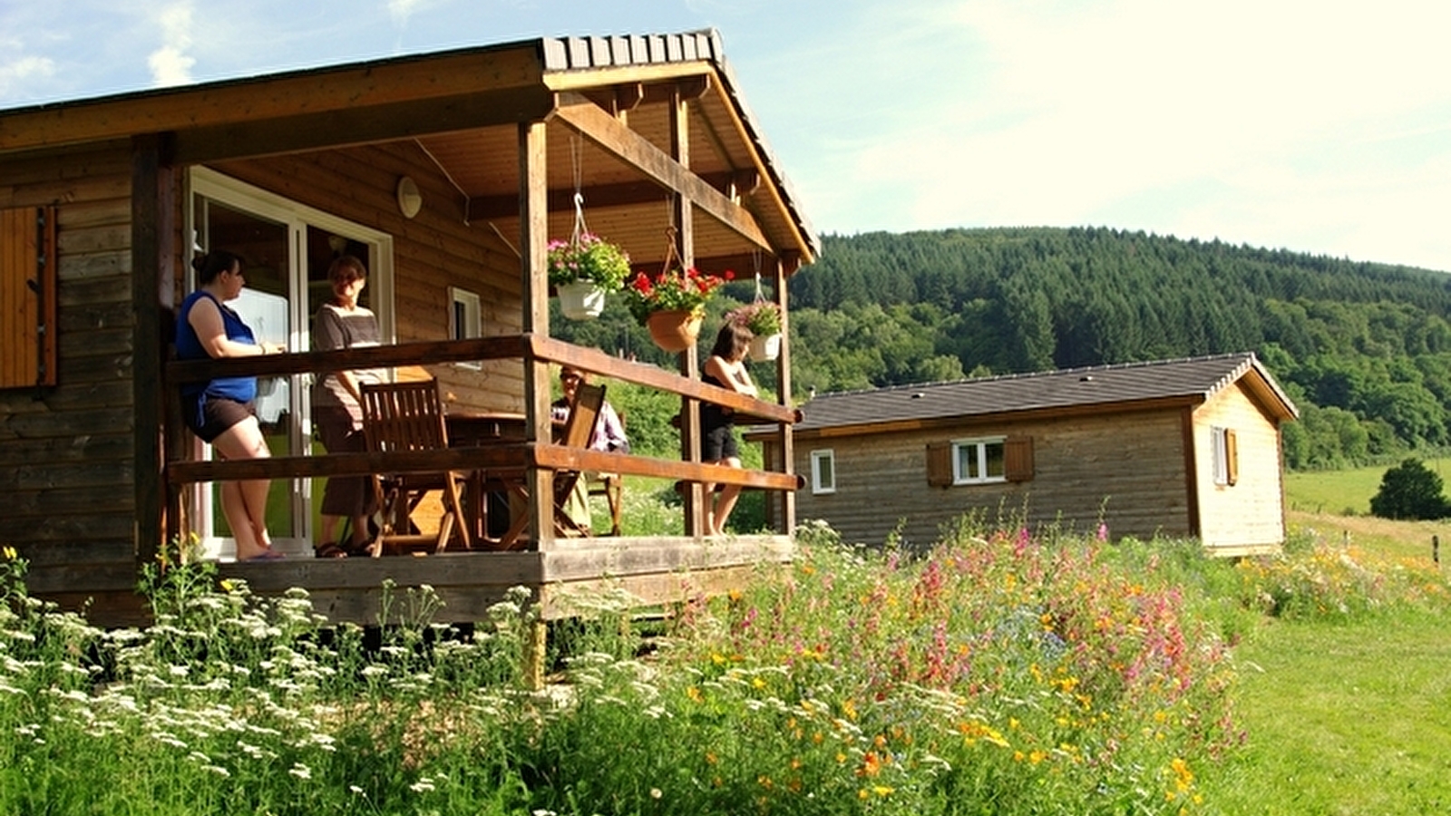 Chalets de Chalaux - Alouette