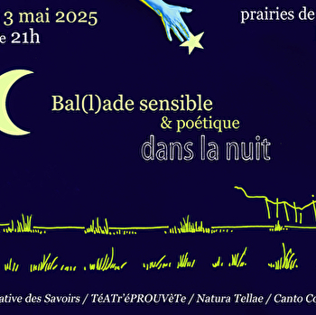 Ballade sensible et poétique dans la nuit - BRASSY