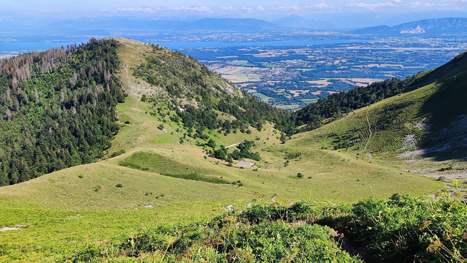 Randonnée pédestre : La Grande Marche Populaire de Gex