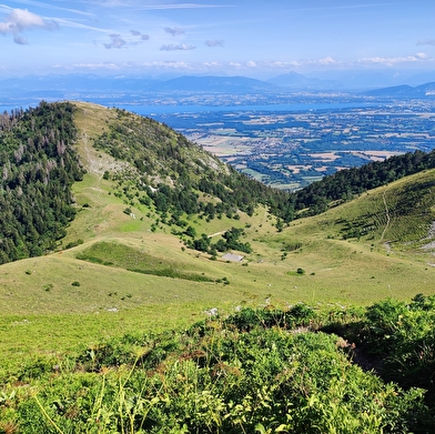 Randonnée pédestre : La Grande Marche Populaire de Gex
