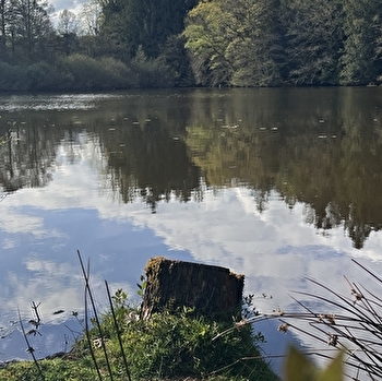 Festival de l'Arboretum de Pézanin - DOMPIERRE-LES-ORMES