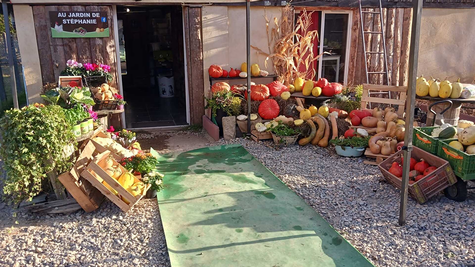 Au jardin de stéphanie