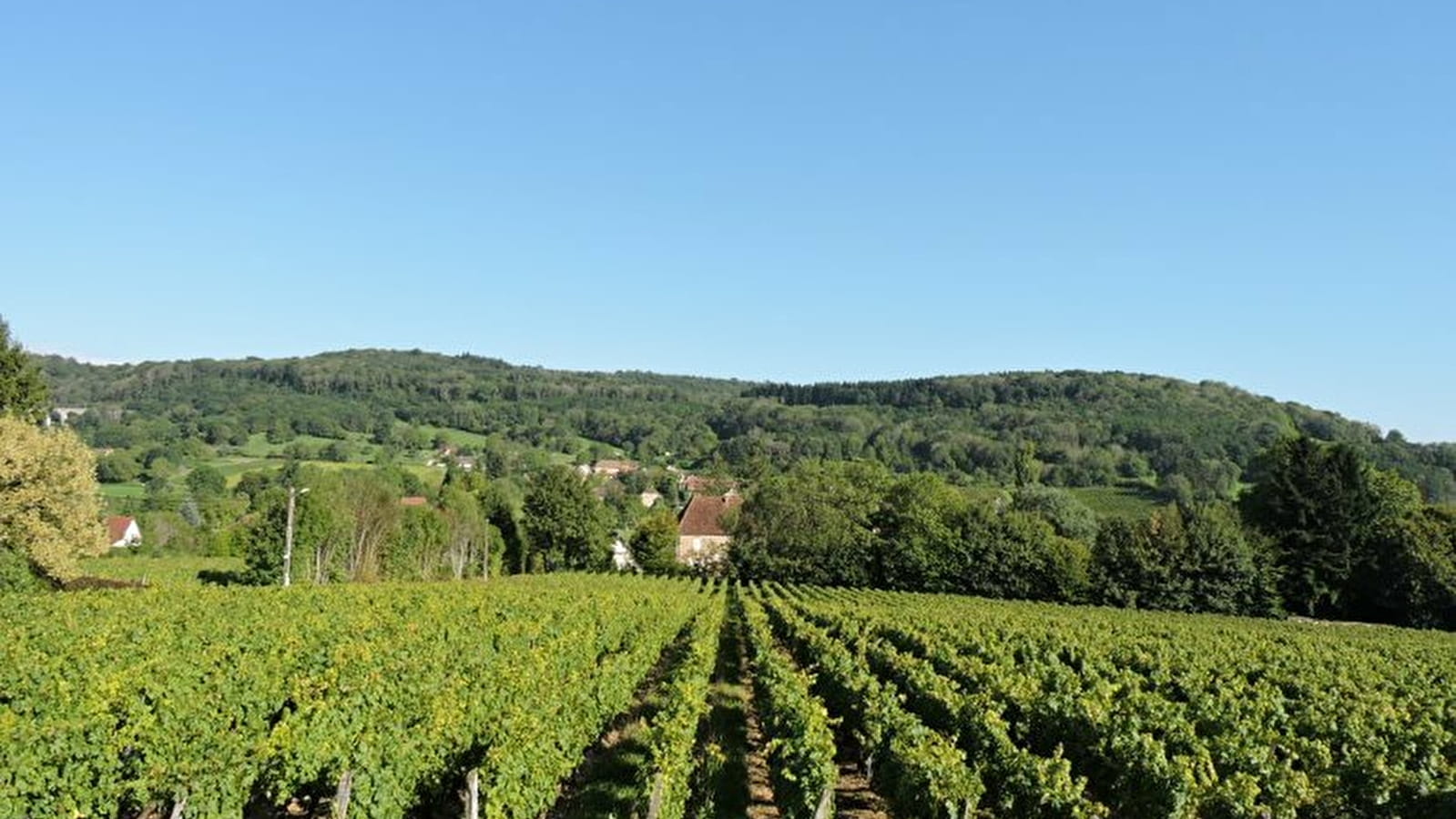 Rando des Vignes