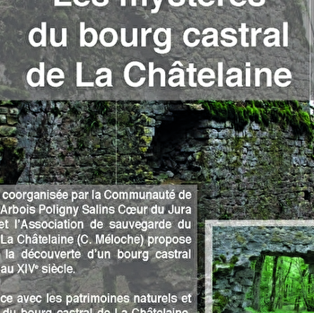 Les mystères du bourg castral de La Châtelaine - LA CHATELAINE