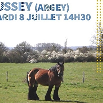 Visite guidée avec le Pays d'Art et d'Histoire Auxois Morvan - SUSSEY