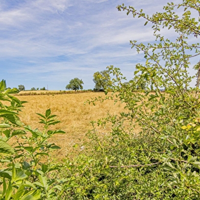 les Jardins d’Helix