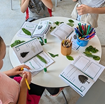 Atelier biodiversité - RONCHAMP