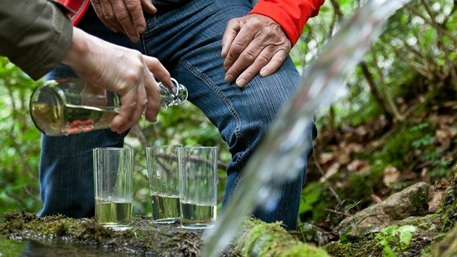 Découverte de la route de l'Absinthe