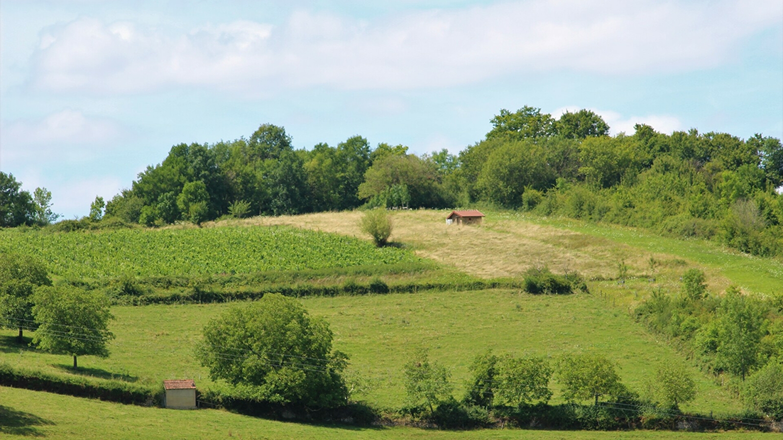 Bocage Brionnais