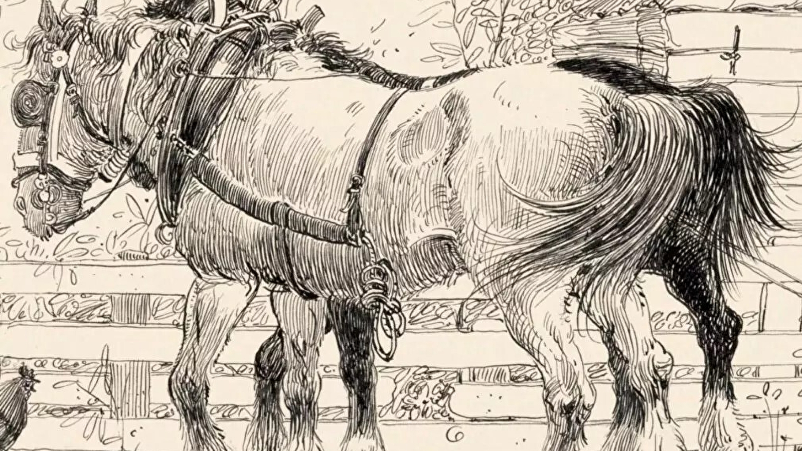 Les chevaux de la saline