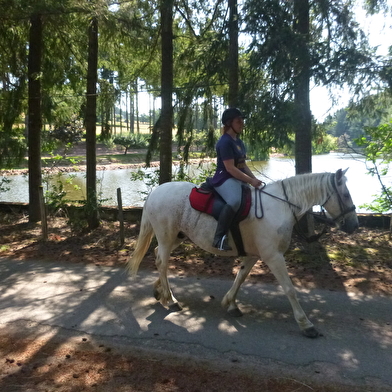 Ferme Equestre de Saint-Laurent