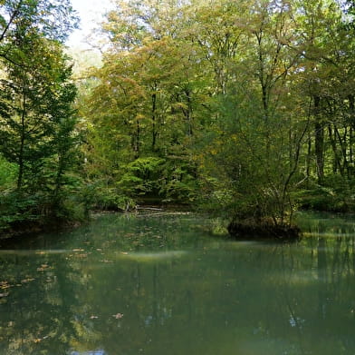 Fontaine des Bougers